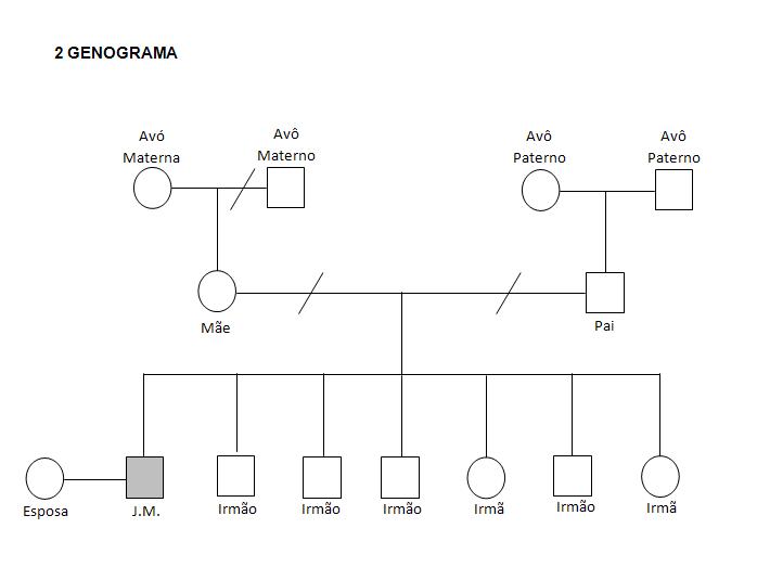 Exemplo de um genograma para trabalhos acadêmicos